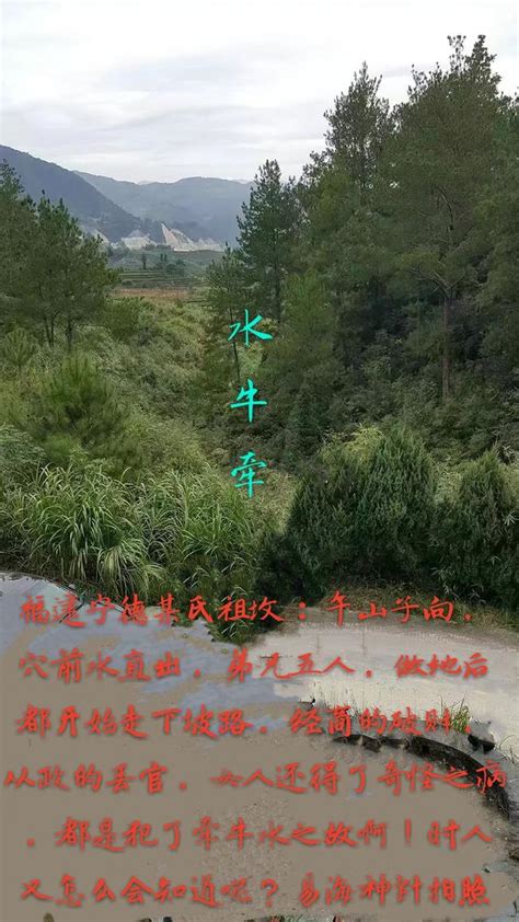 牽牛水 風水